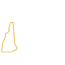 New Hampshire Icon